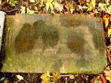 image of grave number 56050